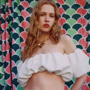 Brand new with tags Zara top